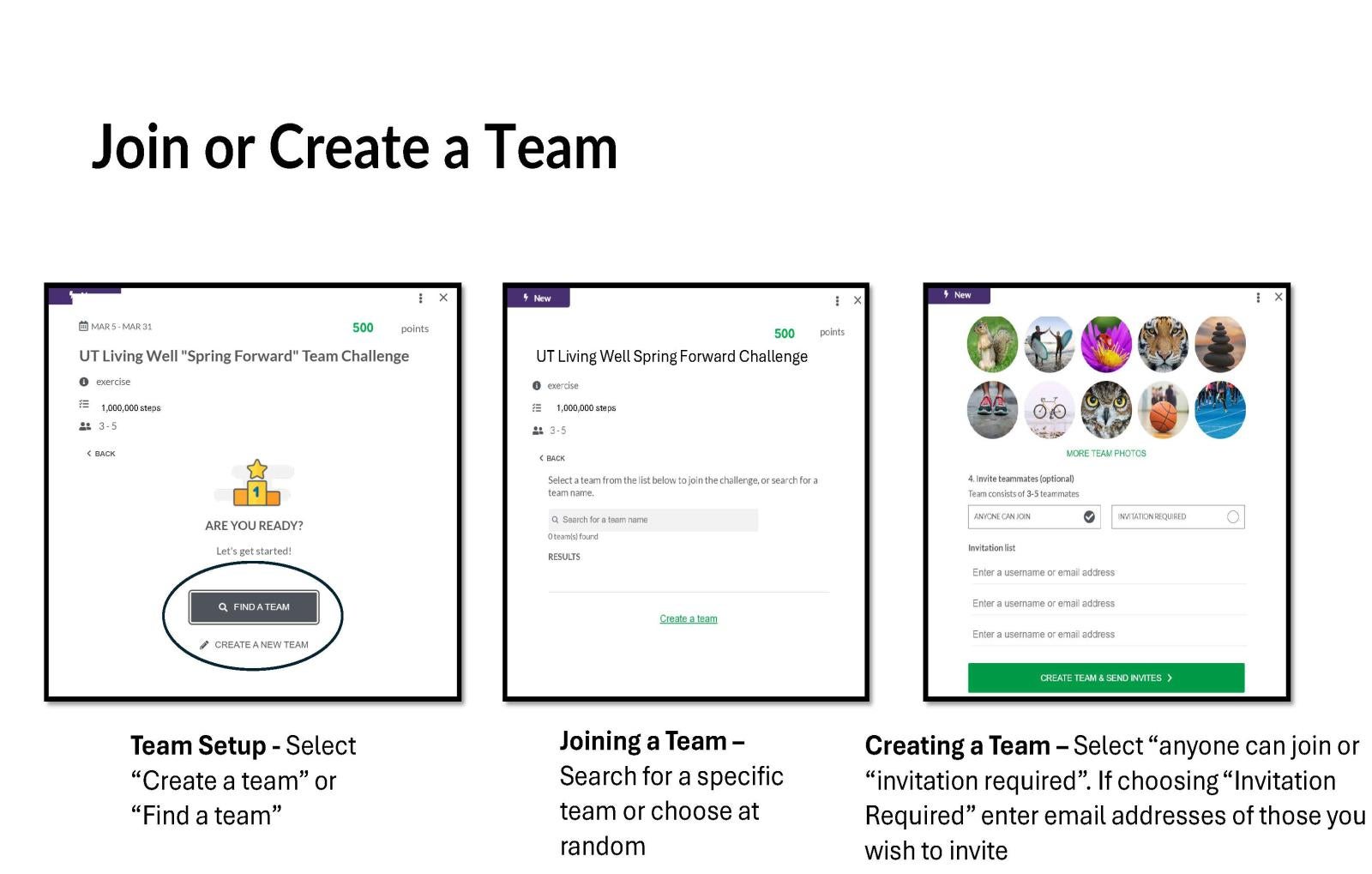 Spring Forward Sign Up